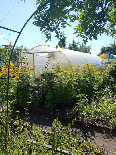 Дача 45 м² на участке 8 сот.