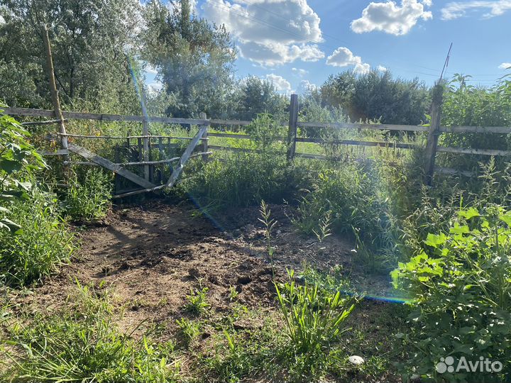 Конский навоз