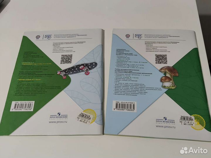 Рабочая тетрадь окружающий мир 2 части 2 класс