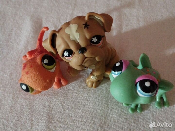 Ящерица, лягушка и бульдог, Лпс