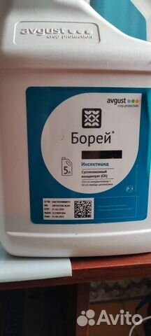 Борей инсектицид в разлив
