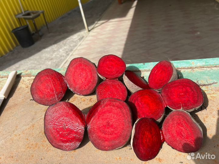 Продам свёклу оптом