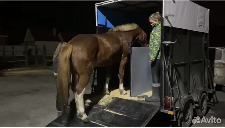 Перевозка животных, коневоз, скотовоз (крс, лошади