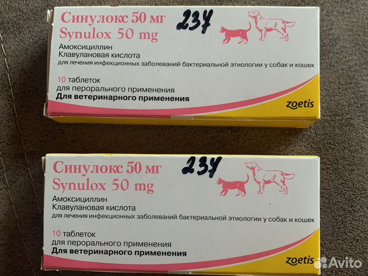 Синулокс 50 мг купить в Новосибирске | Животные и зоотовары | Авито