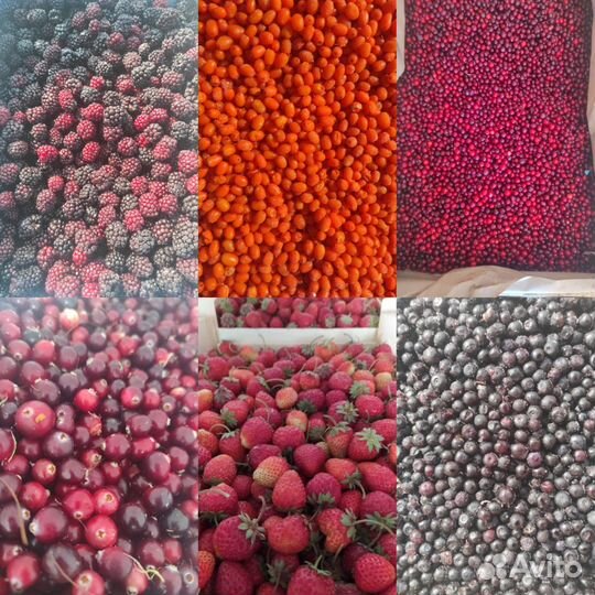Брусника клюква черника ежевика малина голубика