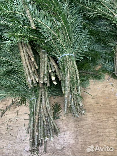 Свежие пихтовые веники для вашего здоровья