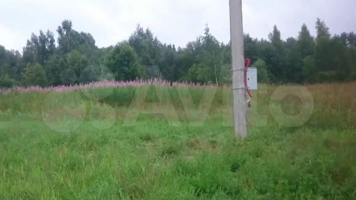Участок 24,5 сот. (СНТ, ДНП)