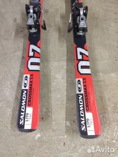 Горные лыжи