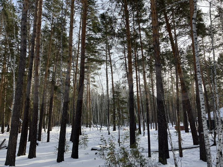 Участок 10 сот. (ИЖС)