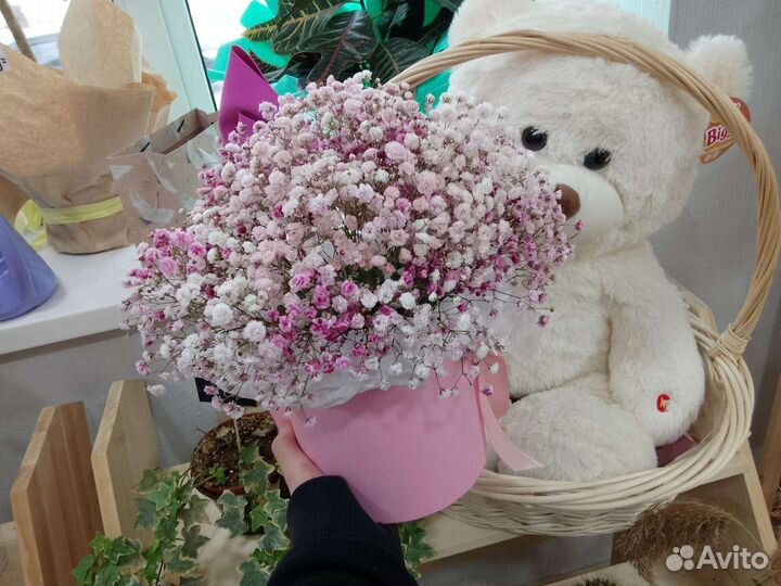 Цветы гипсофила