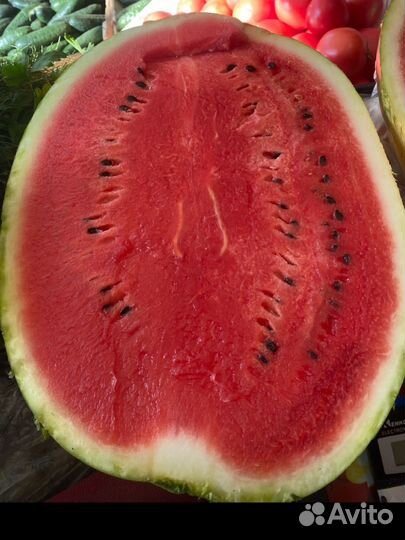 Арбуз иранский