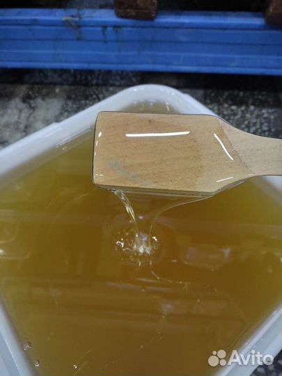 Липовый мёд оптом