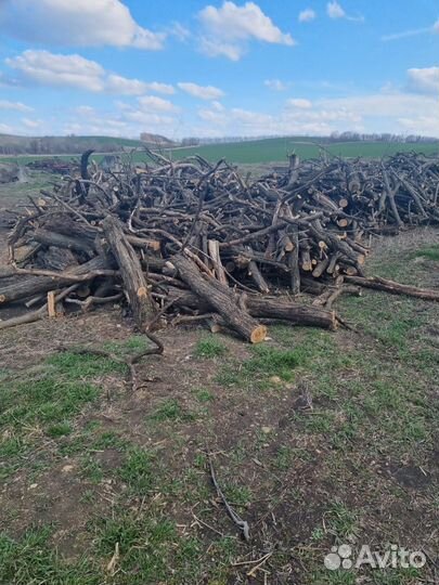 Продаю дрова