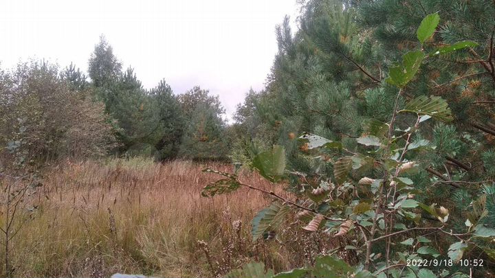 Участок 10 сот. (СНТ, ДНП)