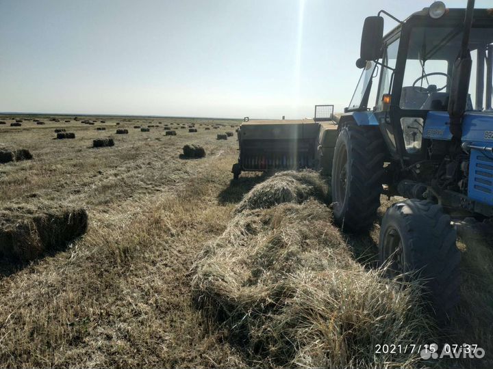 Сено в тюках