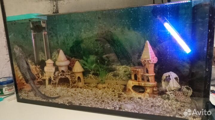 Аквариум