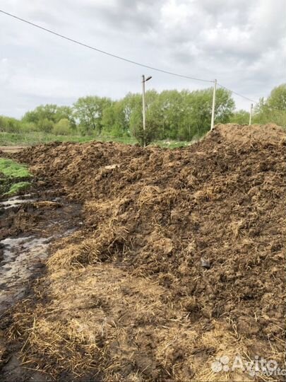 Перегной навоз конский