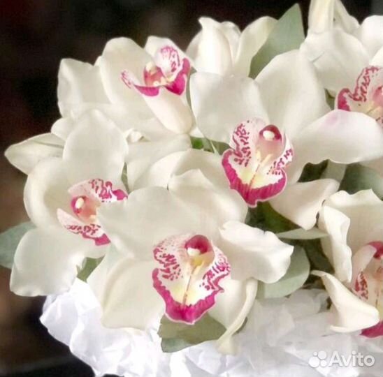 Цветы в шляпной коробке с орхидеями