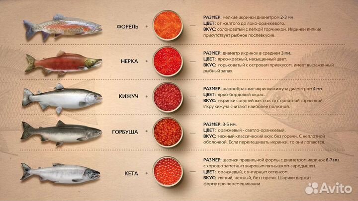 Красная икра