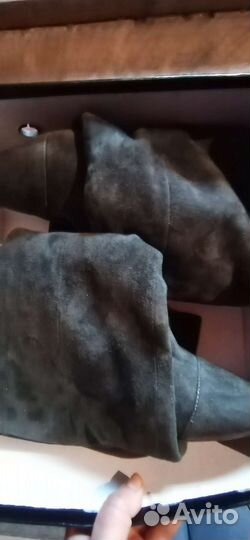 Сапоги женские