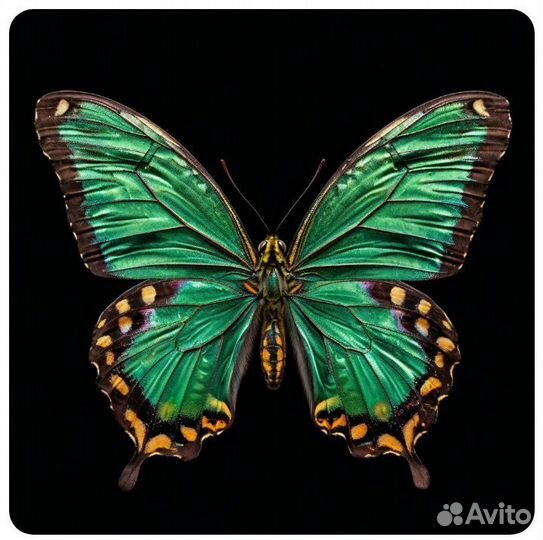 Картины интерьерные для детской