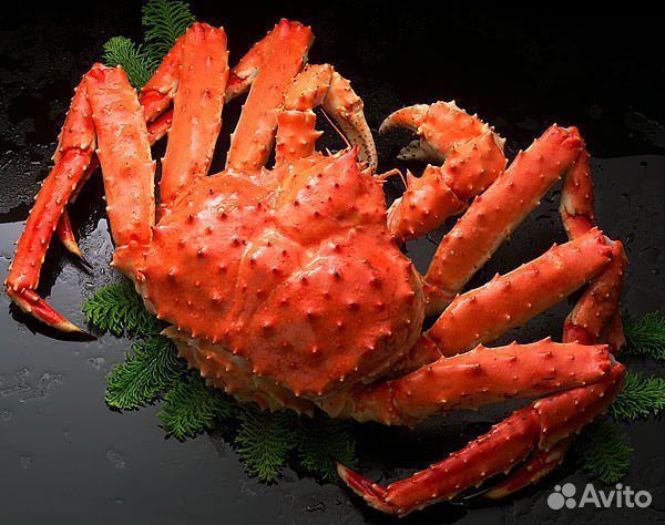 Камчатский краб, конечности, стригун, раки