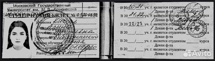 Репетитор по биологии