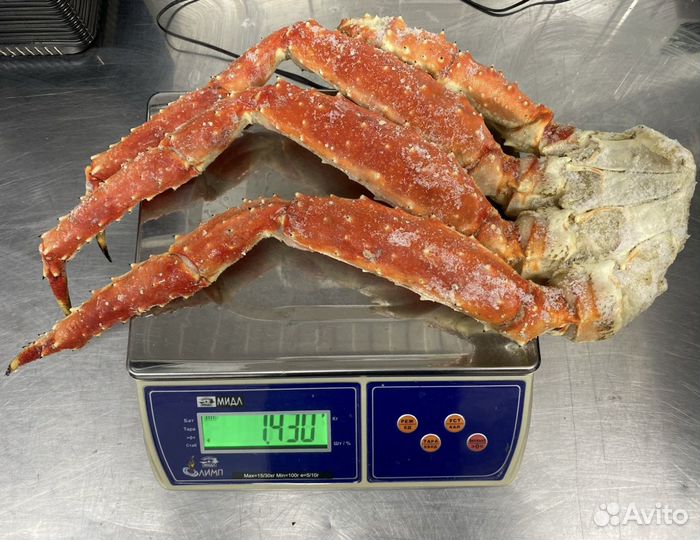 Камчатка/Стригун