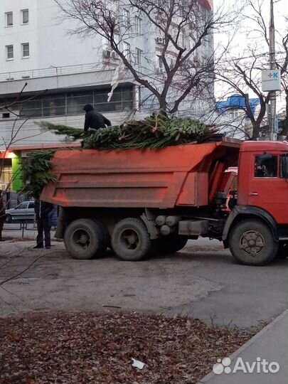 Услуги,Вывоз мусора камаз, самосвал