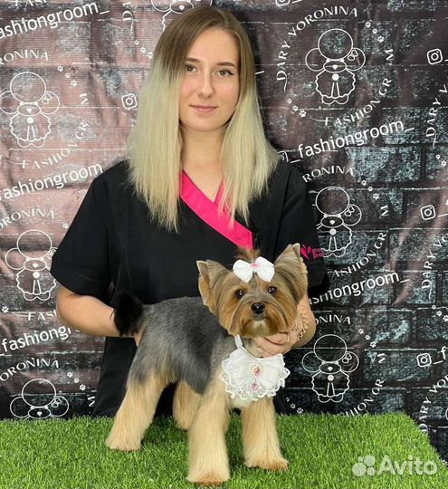 Грумер Груминг Стрижка собак кошек Стриппинг