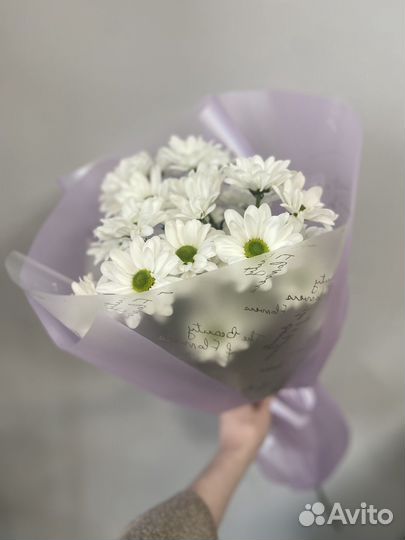 Букет ромашек/ромашковые хризантемы