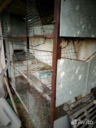 Крольчатник