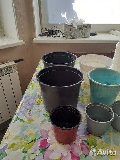 2 горшочка для цветов и 58 для рассады