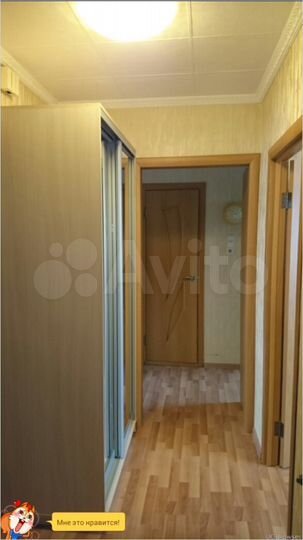 2-к. квартира, 50 м², 7/9 эт.