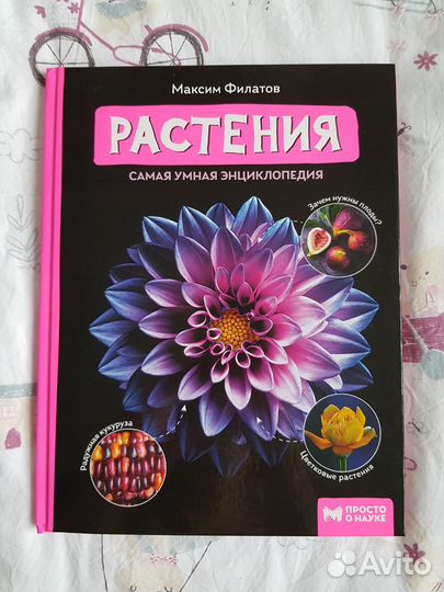 Растения
