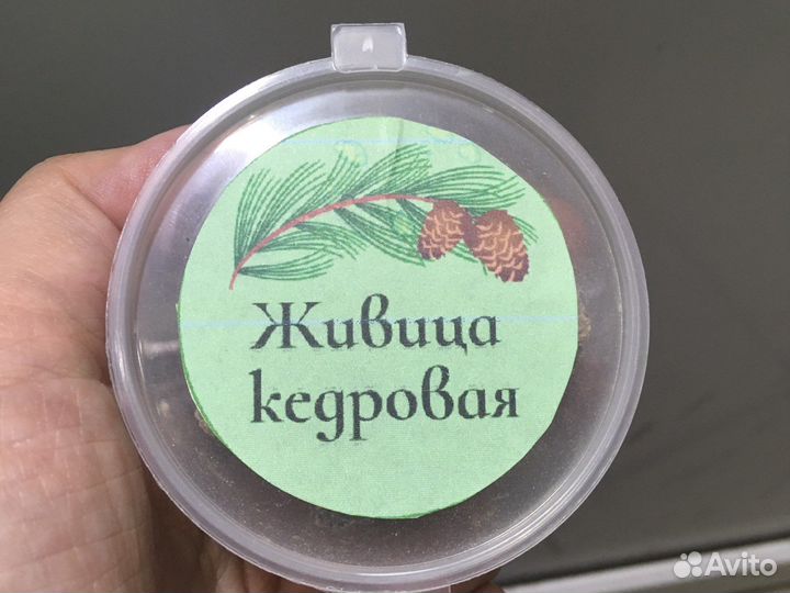 Живица кедровая