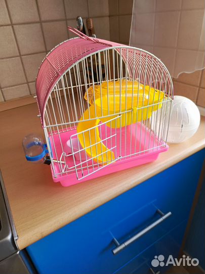 Клетка, поилка, чашка, шар прогулочный. за все