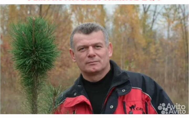 Вскрытие, замена, ремонт замков