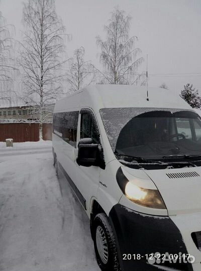 Аренда авто