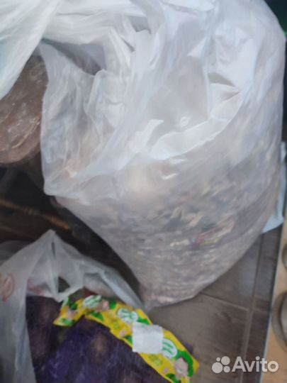 Коптильня горячего копчения, холодного копчения