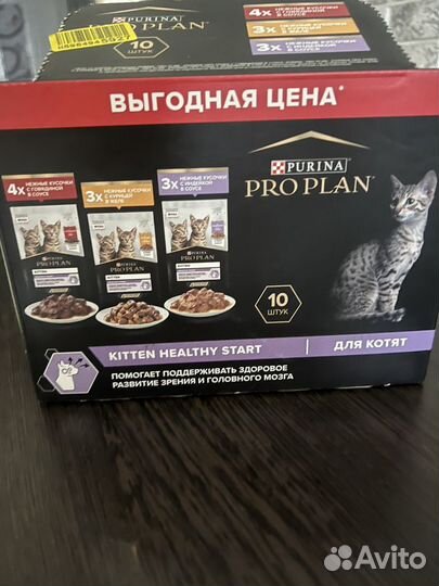 Pro plan влажный корм для котят