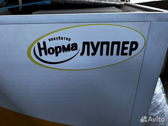 Инкубатор для яиц автоматический бу