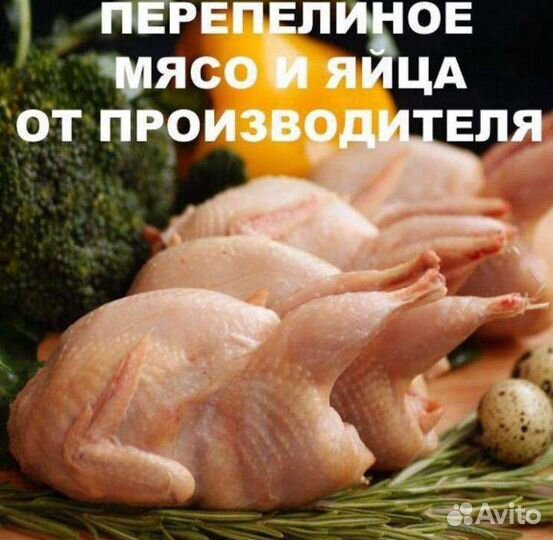 Домашние перепелинные яйца, мясо перепелов