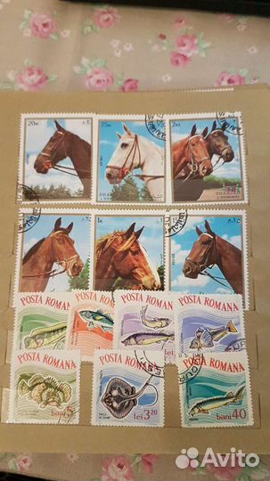 Марки Птицы, лошади, насекомые