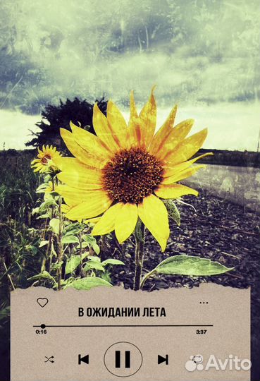 Стихи на заказ