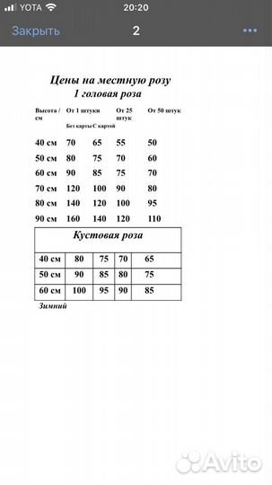 Роза