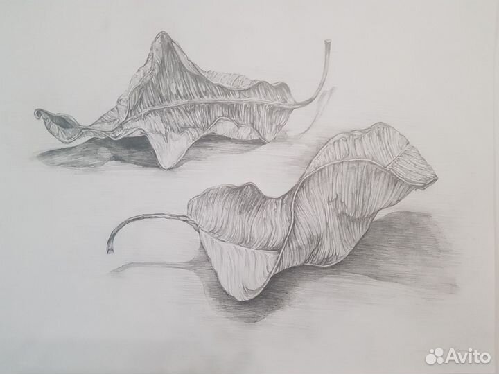 Обучение графика рисунок макетирование