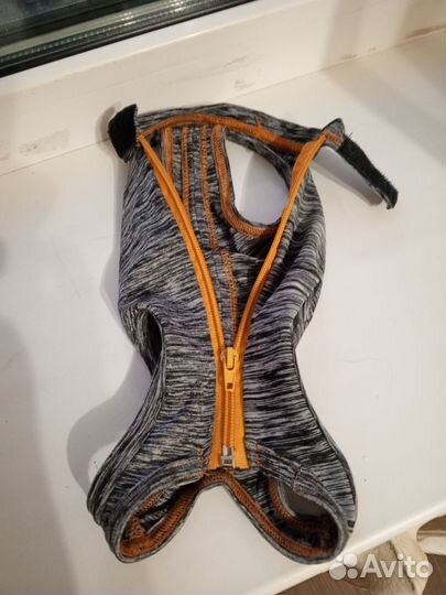 Папона для кошек