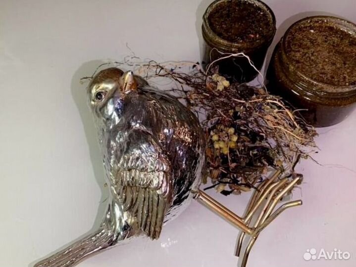 Средство для улучшения мужской силы