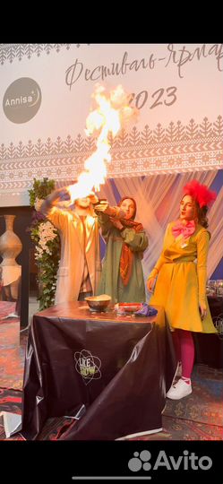 Аниматоры и Научное шоу